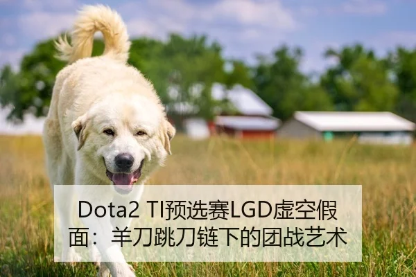 Dota2 TI预选赛LGD虚空假面：羊刀跳刀链下的团战艺术