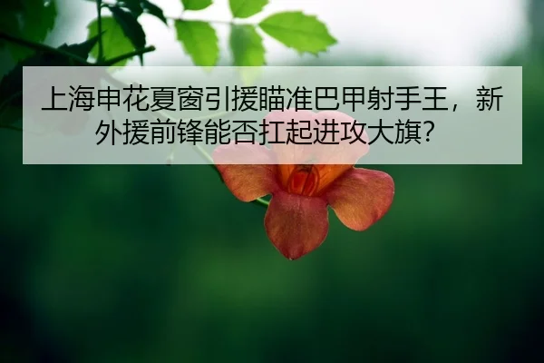 shang-hai-shen-hua-xia-chuang-yin-yuan-miao-zhun-ba-jia-she-shou-wang-xin-wai-yuan-qian-feng-neng-fou-kang-qi-jin-gong-2-606.jpg