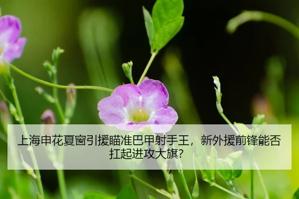 shang-hai-shen-hua-xia-chuang-yin-yuan-miao-zhun-ba-jia-she-shou-wang-xin-wai-yuan-qian-feng-neng-fou-kang-qi-jin-gong-3-405.jpg