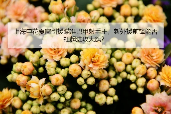 上海申花夏窗引援瞄准巴甲射手王，新外援前锋能否扛起进攻大旗？