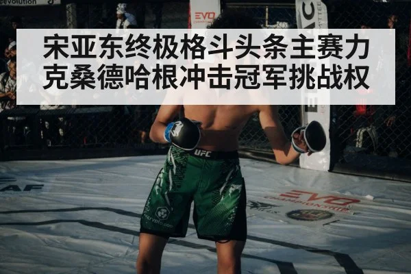 宋亚东终极格斗头条主赛力克桑德哈根冲击冠军挑战权