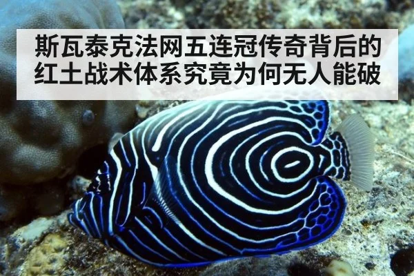 斯瓦泰克法网五连冠传奇背后的红土战术体系究竟为何无人能破